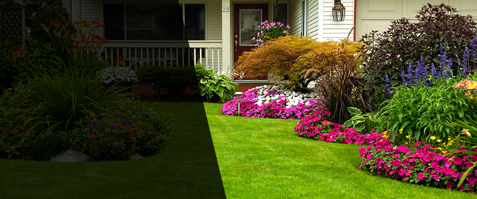 Mariposa Landscapers